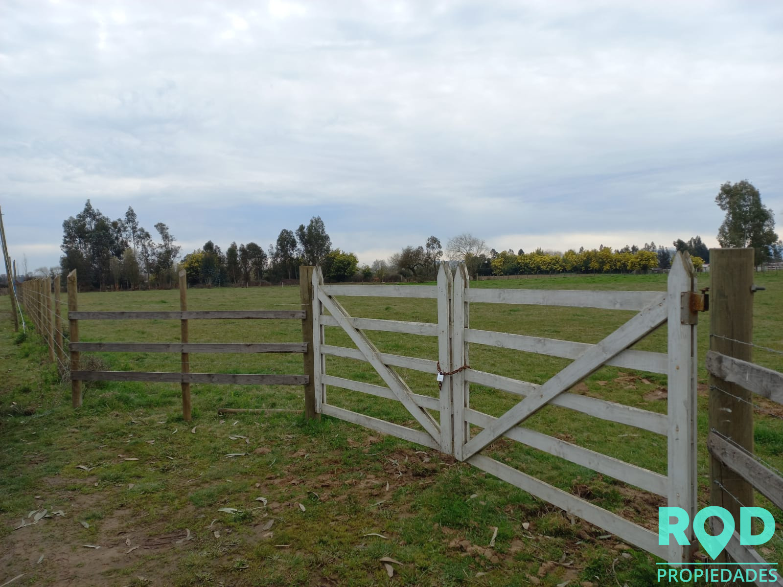 En Venta Parcela sector Pangue Arriba San Rafael