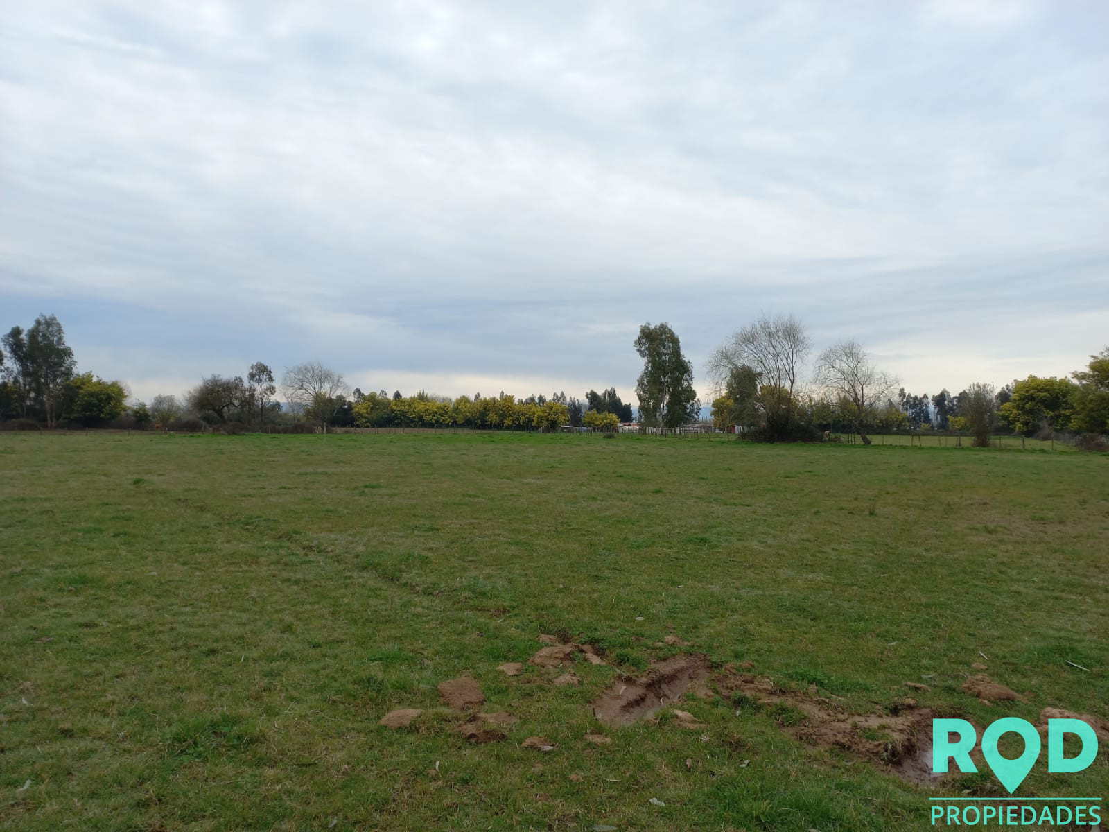 En Venta Parcela sector Pangue Arriba San Rafael